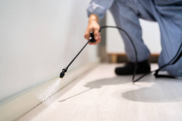Certified termite inspector examining foundation in Bellemont